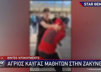 Βίντεο ντοκουμέντο από άγριο ξύλο μαθητών στο προαύλιο σχολείου (video)