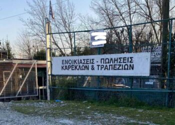 Οικογενειακή τραγωδία στα Τρίκαλα: Απoκεφάλισε με αλυσοπρίονο τον πατέρα του – «Μόλις μας ενημέρωσε η ασφάλεια…