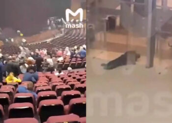 Μακελειό στη Μόσχα: 40 νεκροί και πάνω από 100 τραυματίες από ένοπλη επίθεση σε αίθουσα συναυλιών – Σοκαριστικά βίντεο
