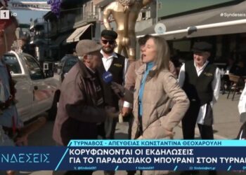 Μπουρανί: «Κάγκελο» ρεπόρτερ της ΕΡΤ με καρναβαλιστή – «Μη στενοχωριέσαι, την π… δε θα την φας!» (video)