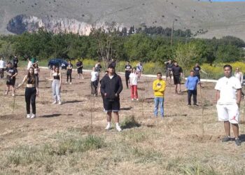 Λάρισα: Μαθητές φύτεψαν 57 δενδρύλλια ελιάς για τα θúματα των Τεμπών