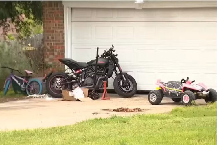 Μωpό έχασε τη ζωή του από επίθεση σκύλων στο σπίτι του