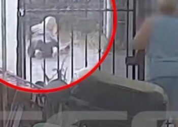 Σαλαμίνα: Αστυνομικός εκτός υπηρεσίας ξυλοκόπησε ζευγάρι – Σοκαριστικό βίντεο
