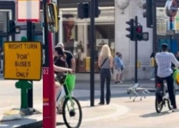 «Περίεργο» πλάσμα εντοπίσθηκε σε κεντρικό δρόμο του Λονδίνου – «Ζούμε στο Black Mirror»