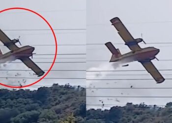 Φωτιά στη Ναυπακτία: Παραλίγο να πέσει Canadair – Προσέκρουσε σε πεύκο