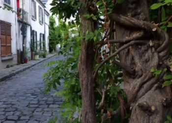 Θάσος: Πέθανε στον ύπνο της μητέρα δύο παιδιών που είχε φτάσει για να δουλέψει το καλοκαίρι