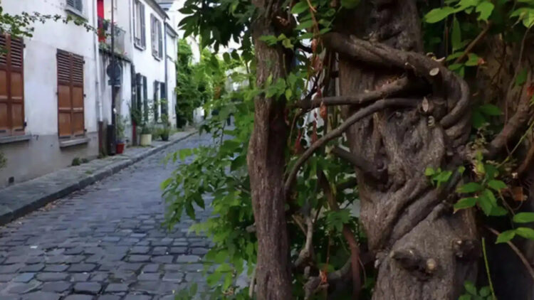 Θάσος: Πέθανε στον ύπνο της μητέρα δύο παιδιών που είχε φτάσει για να δουλέψει το καλοκαίρι