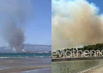 Φωτιά τώρα: Σφοδρή πυρκαγιά στη Νέα Αρτάκη θέτει σε κίνδυνο κατοικίες και τον υγροβιότοπο Κολοβρέχτη