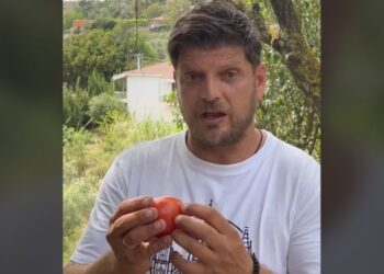 Μυστικό από Έλληνα αγρότη: Πώς να διαλέγετε γευστικές ντομάτες – Δεν έχει σχέση με το χρώμα