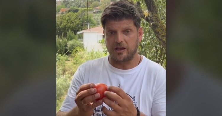 Μυστικό από Έλληνα αγρότη: Πώς να διαλέγετε γευστικές ντομάτες – Δεν έχει σχέση με το χρώμα