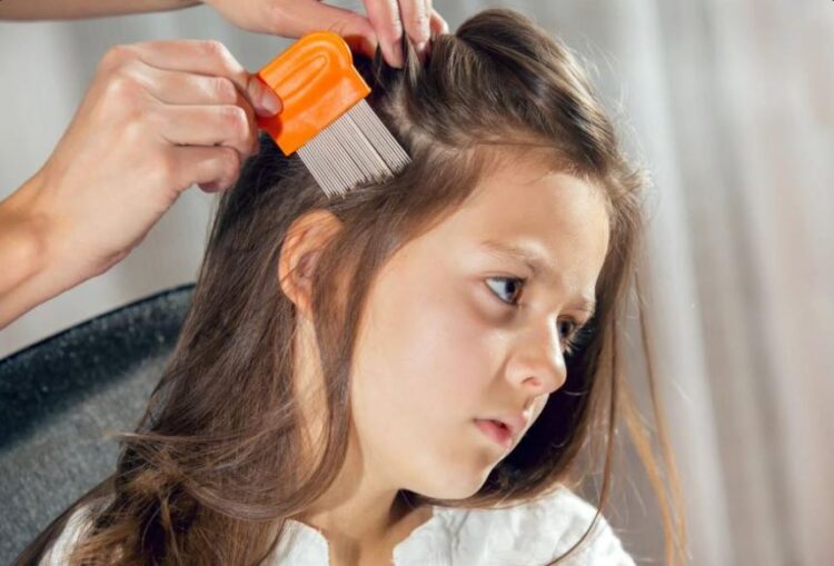 Μητέρα: «Δεν βγάζω τις ψείρες από την 7χρονη κόρη μου γιατί είμαι βίγκαν και δεν σκοτώνω ζωντανά όντα»