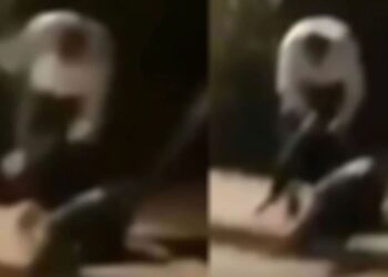 Γονείς στην Κω ξυλοκόπησαν 35χρονο που πήγε να βιάσει την 13χρονη κόρη τους