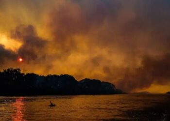 Kαίγεται ο μεγαλύτερος υγροβιότοπος στον κόσμο: Μαυρισμένα δέντρα, νεκρά ζώα και καμένη γη