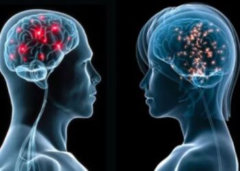 Γυναίκα πήγε στο νοσοκομείο επειδή ξεχνούσε εύκολα – Δεν φαντάζεστε τι βρήκαν στον εγκέφαλό της