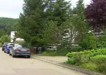 Άνδρας σε αμόκ σκότωσε τρία μέλη της οικογένειάς του μετά από καβγά – Αυτοκτόνησε ο δράστης