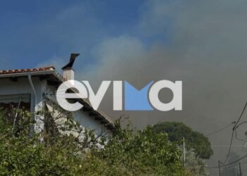 Nέα μεγάλη φωτιά στην Ευβοία διπλά σε σπίτια – Συναγερμός στην Πυροσβεστική